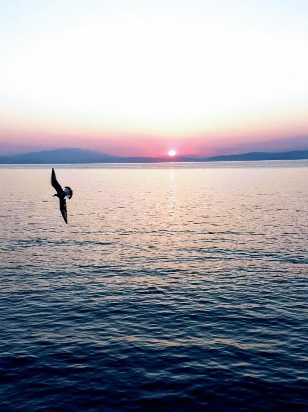 Aparthotel Haus Elena Kavala Exteriér fotografie